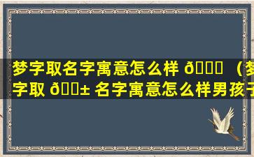 梦字取名字寓意怎么样 🐛 （梦字取 🐱 名字寓意怎么样男孩子）